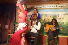 560 granada flamenco show